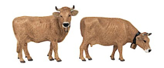 POLA 331554 Allgau Brown Cow